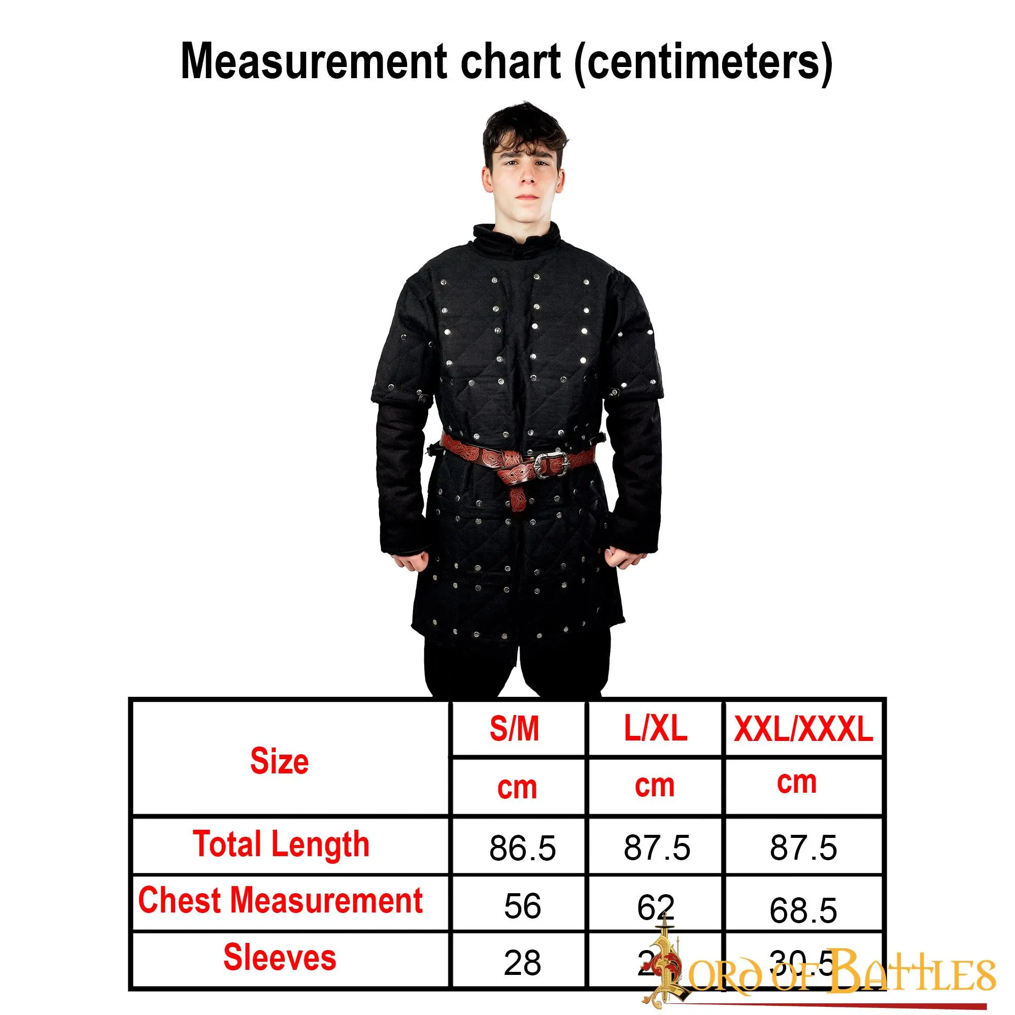 Medieval Brigandine With Riveted Steel Plates Body Armor - Image 3