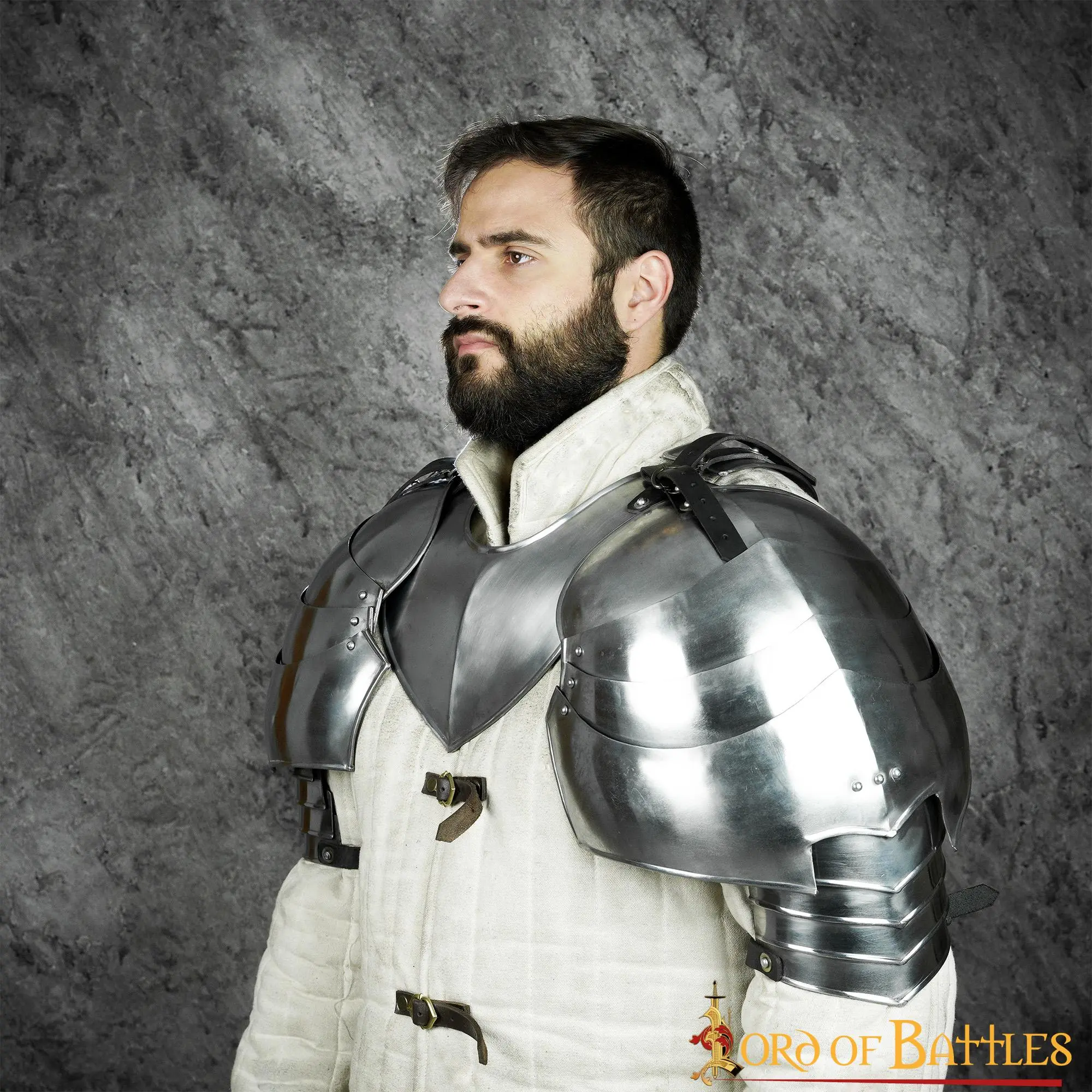 Medieval Large Knightly Pauldrons 18 Gauge